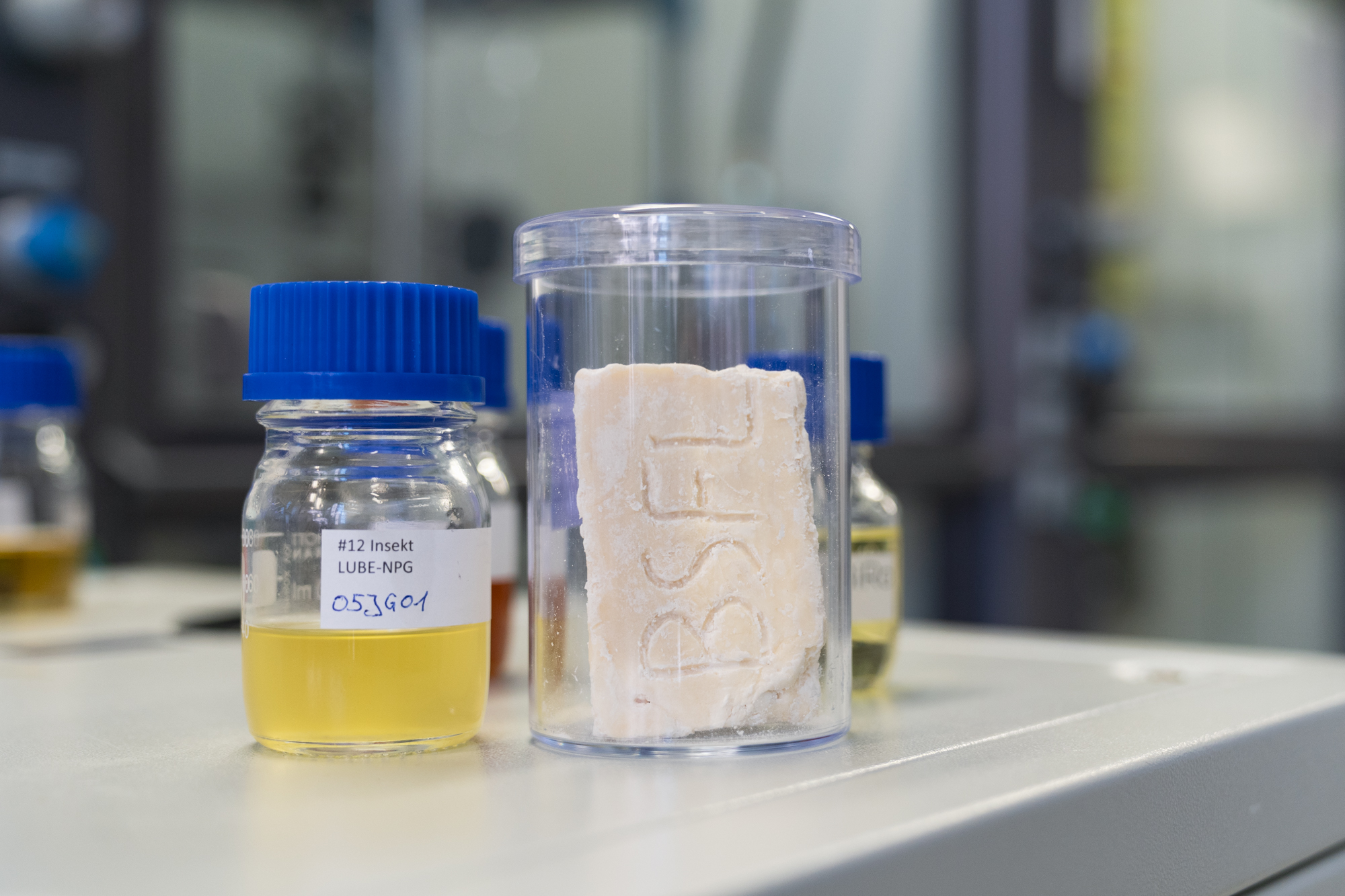 Produkte aus der Insektenbioraffinerie: Aus der Fettfraktion kann zum Beispiel Seife hergestellt werden (rechts)